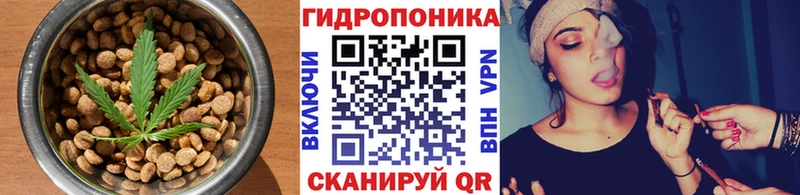 KRAKEN tor  Билибино  Cannafood конопля  продажа наркотиков 