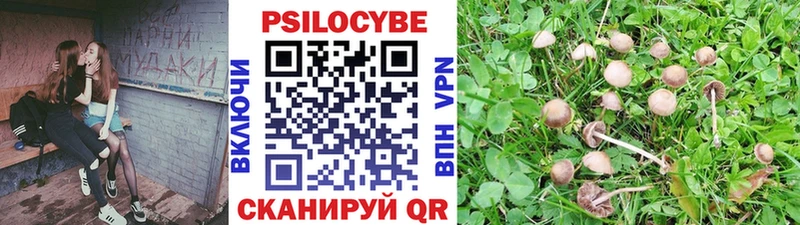 купить наркотик Билибино Псилоцибиновые грибы GOLDEN TEACHER